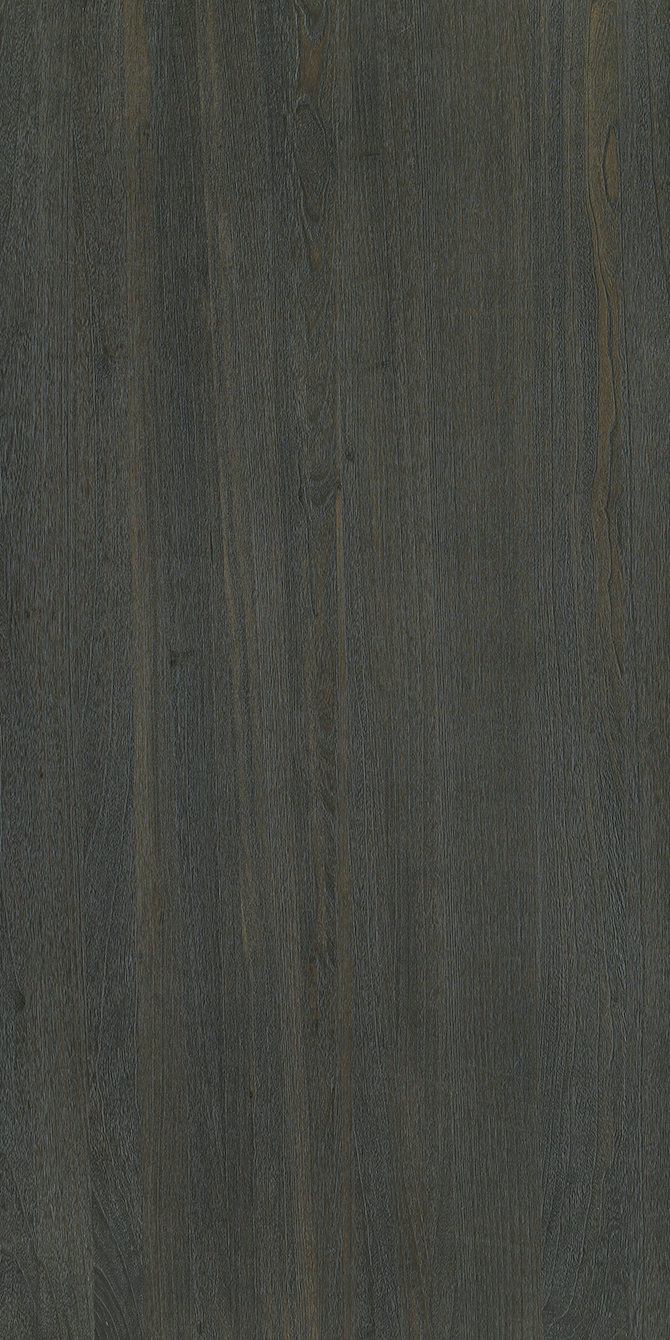 K6169FS Paulownia