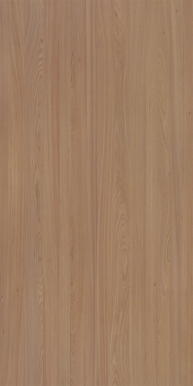 K6176AS / K6176ASB Elm