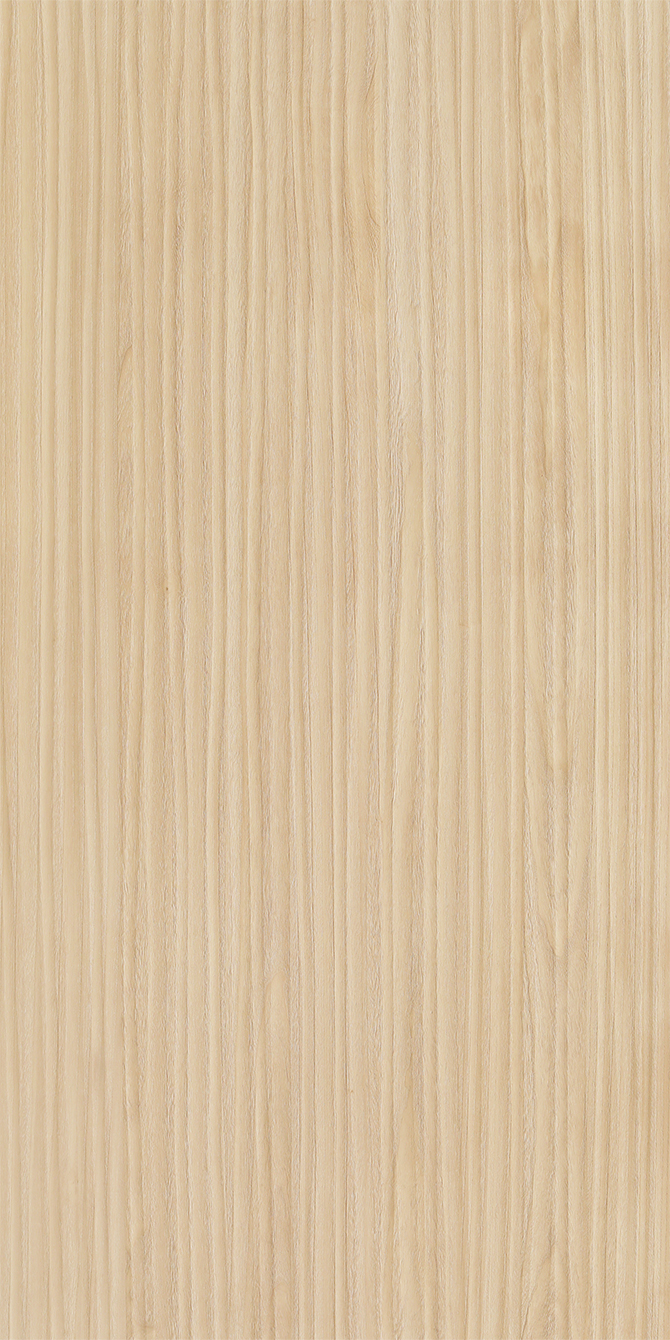 K6569BS Paulownia