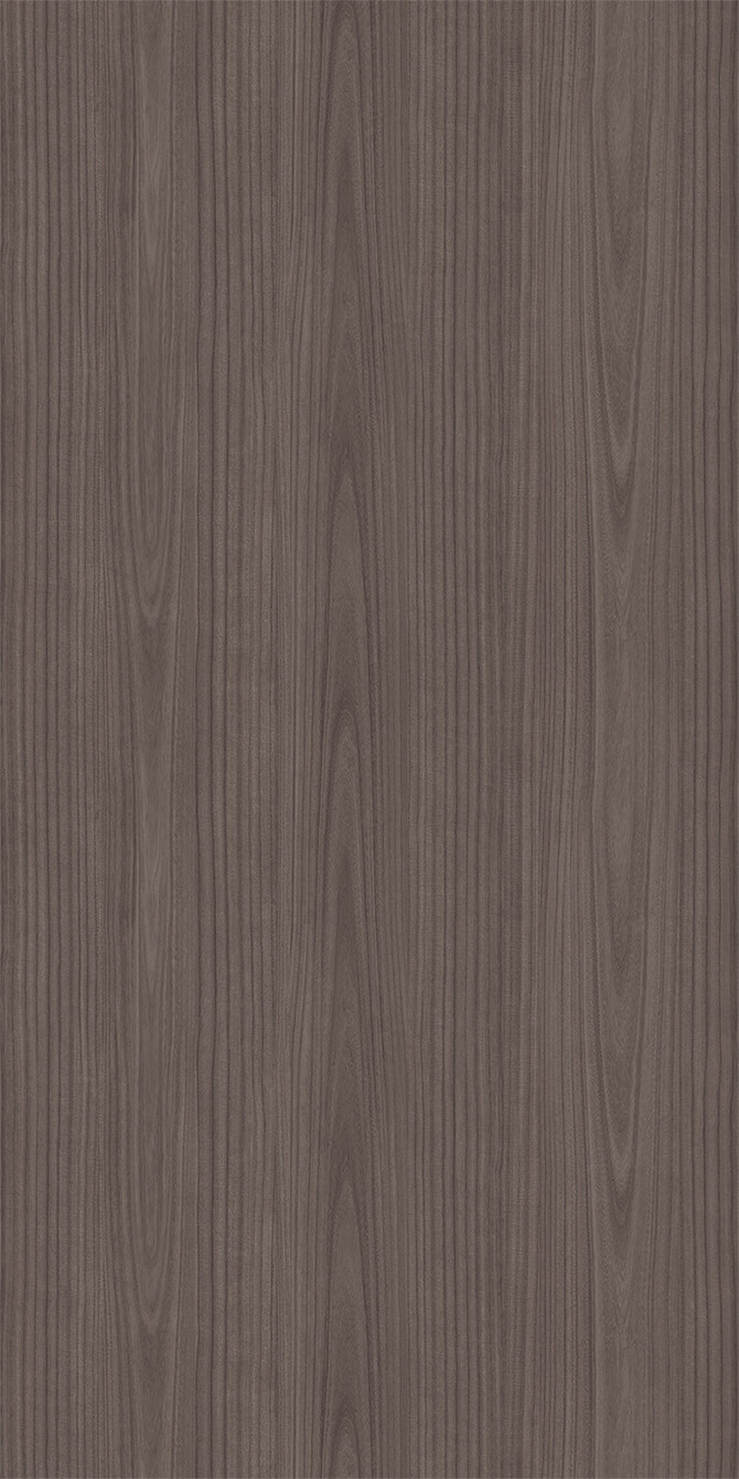 L269P Paulownia - C.C.