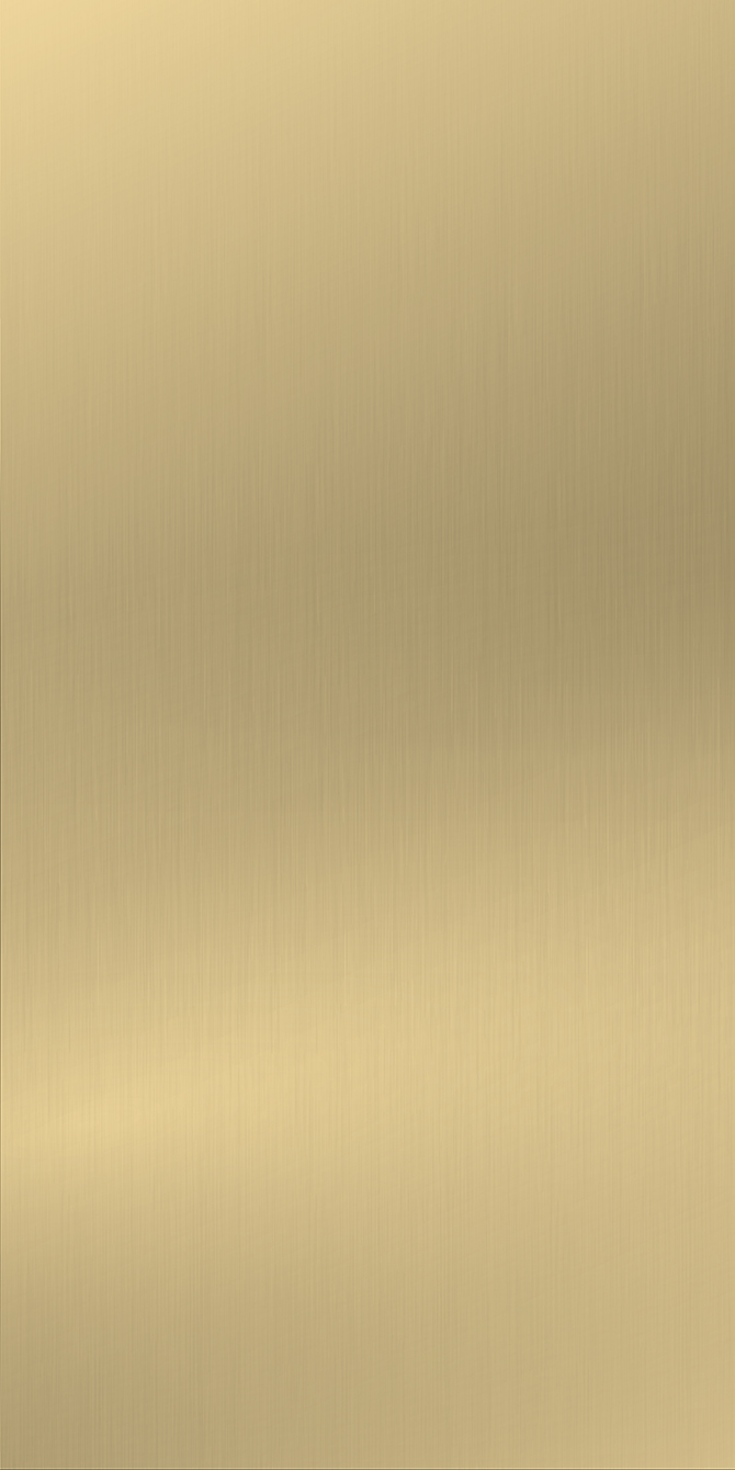 L7331 Brushed Champaigne