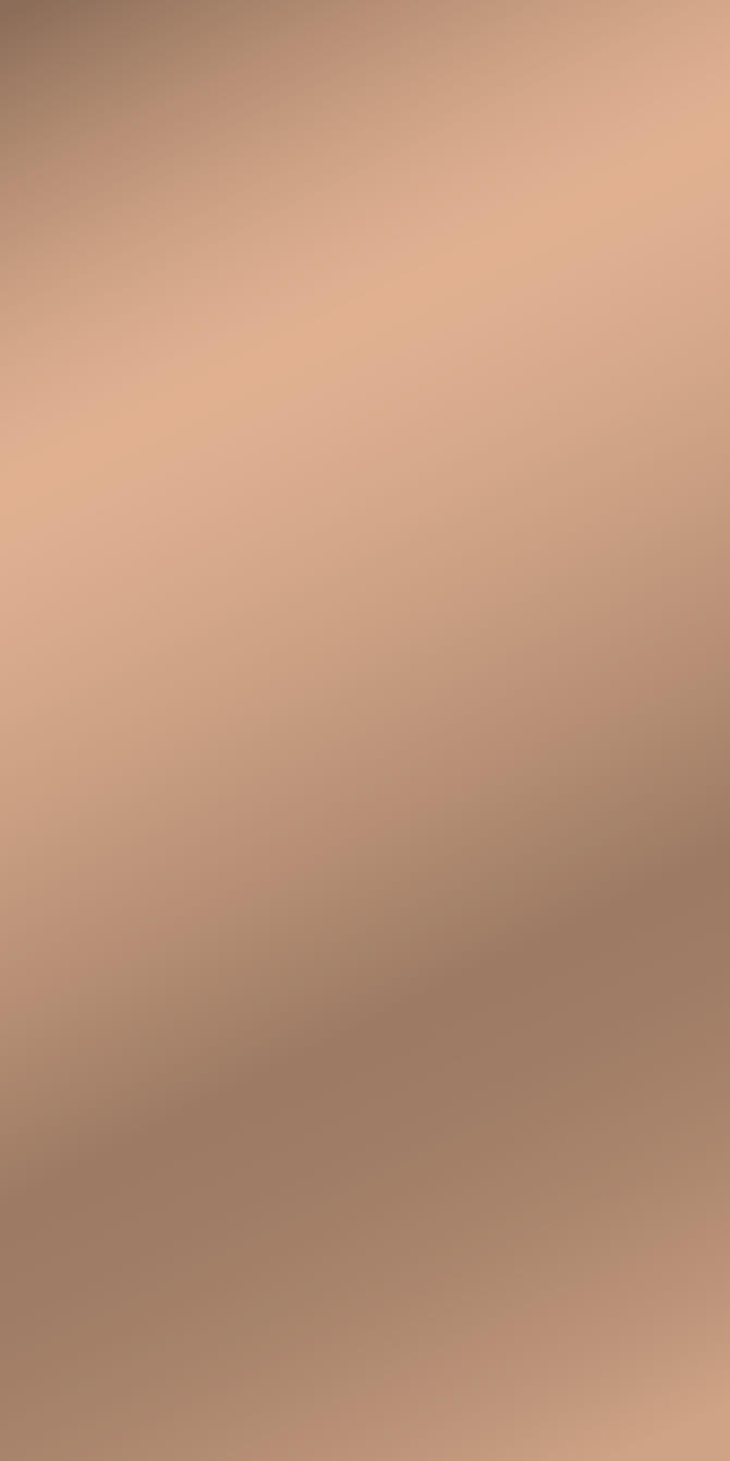 L7381 Polished Bronze