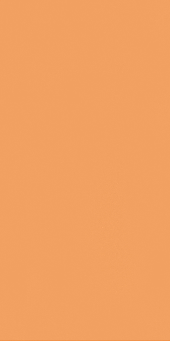 L8161 Eggshell Honey Orange