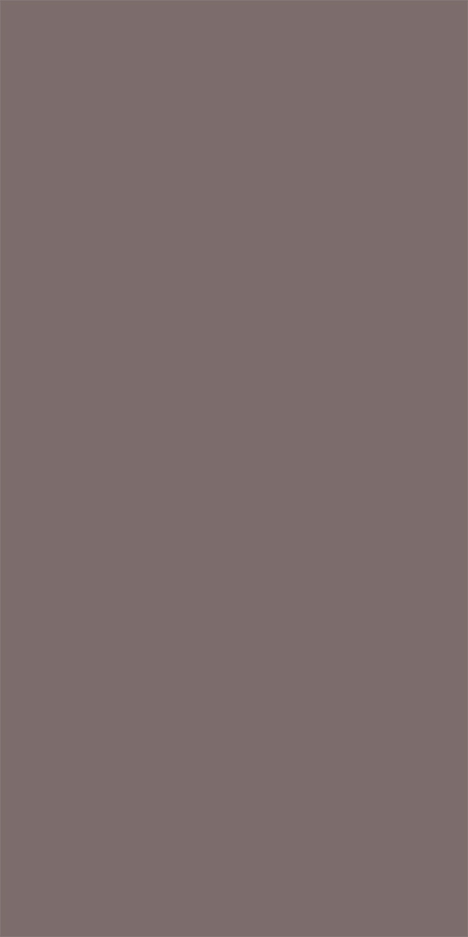 L8308 Silky Matte Taupe