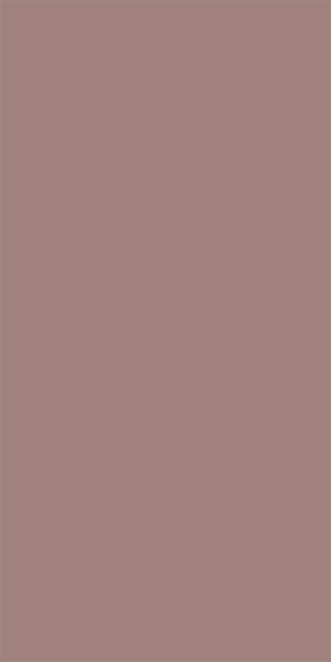 L8321 Silky Matte Bean Red