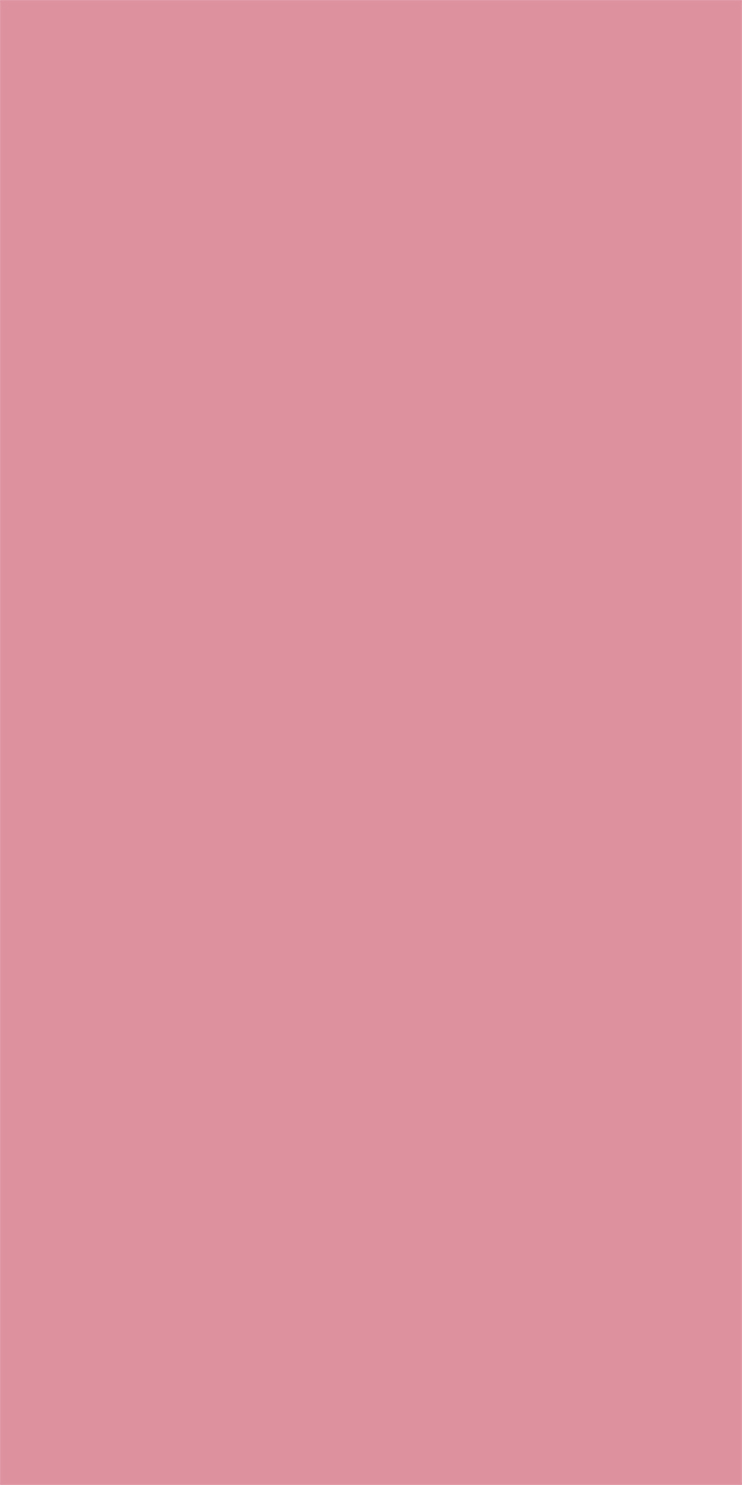 L8324 Silky Matte Peach Puff