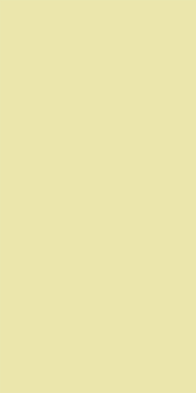 L8334 Silky Matte Lime