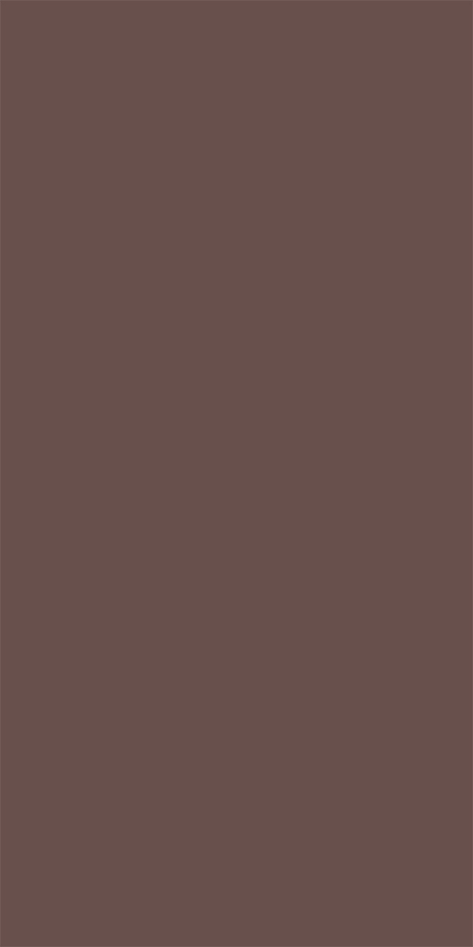 L8381 Silky Matte Coffee