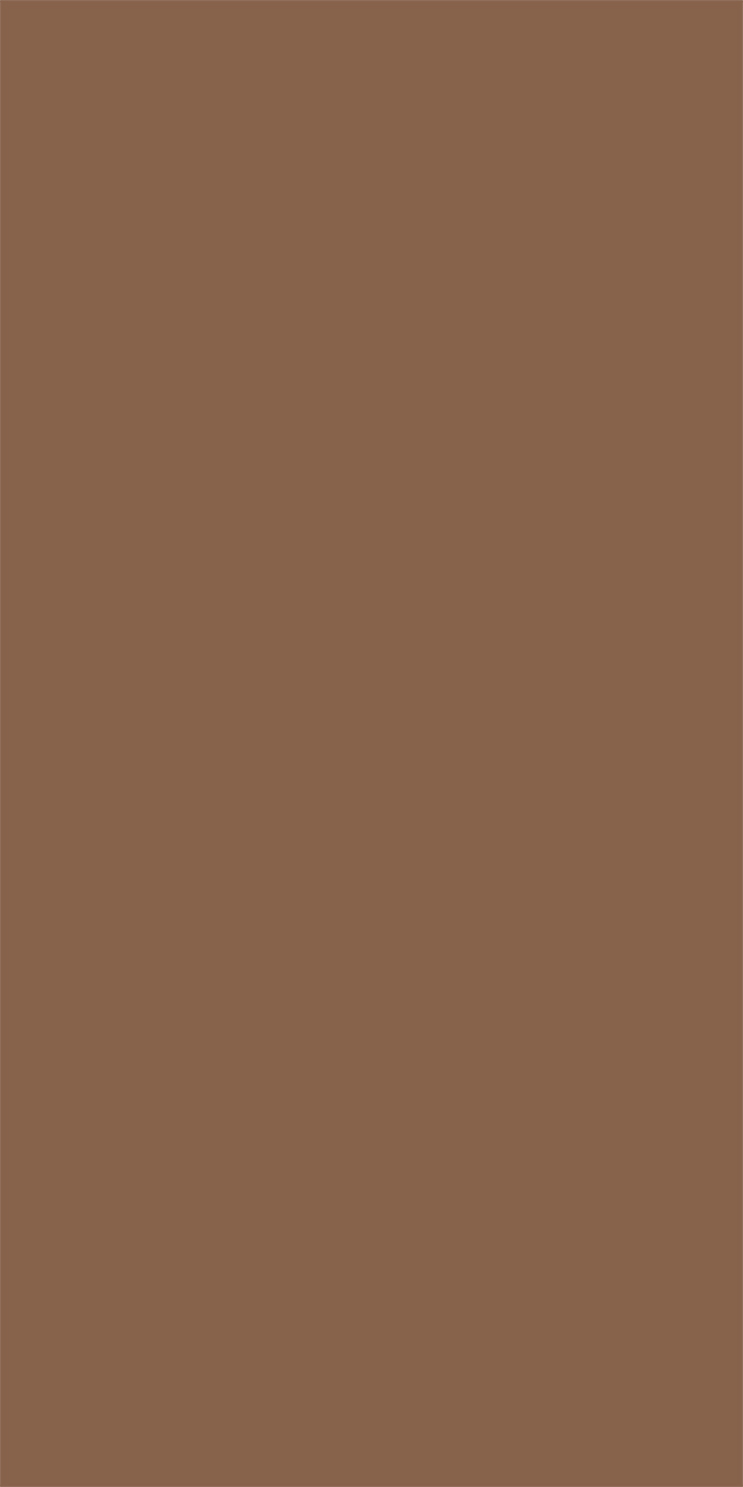 L8383 Silky Matte Burlywood