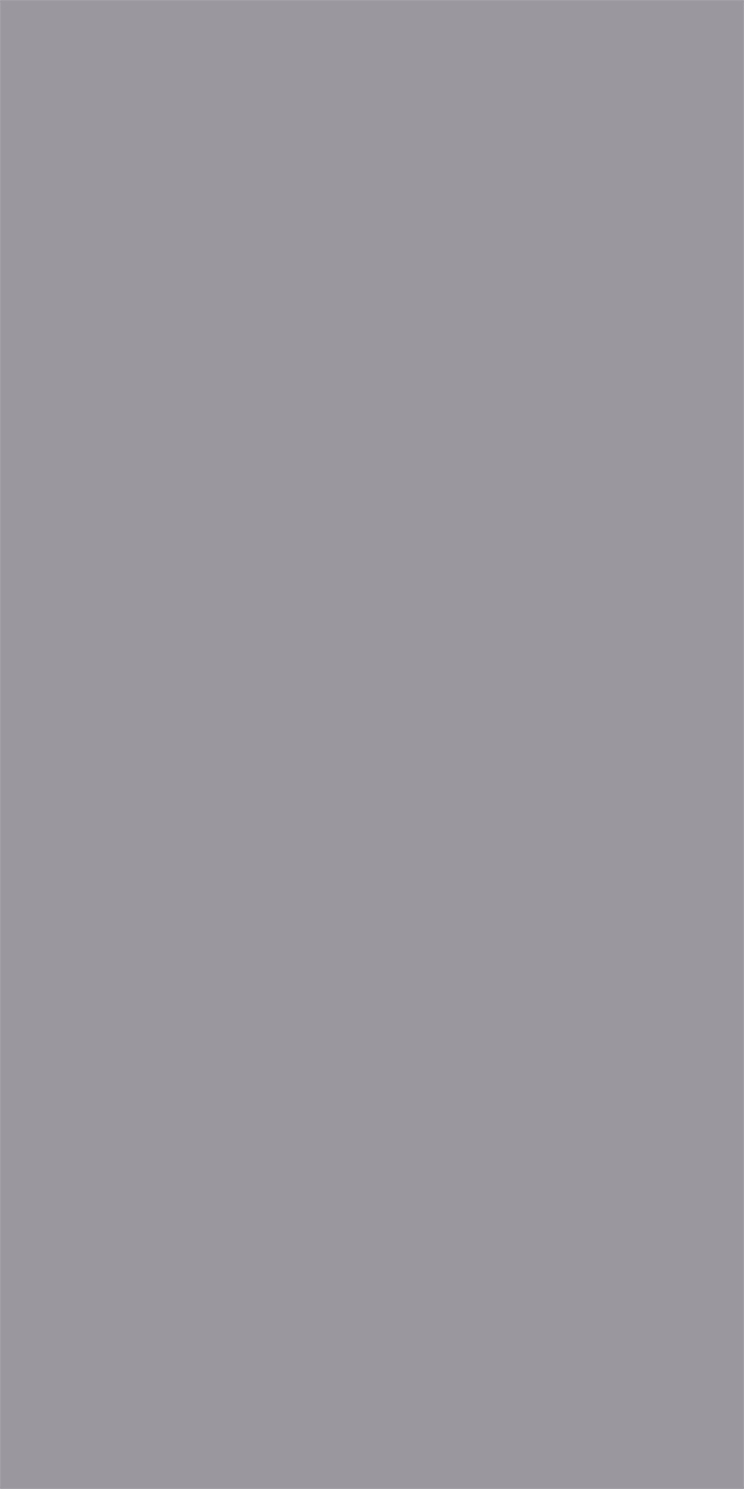 L8417 Silky Matte Silver Gray