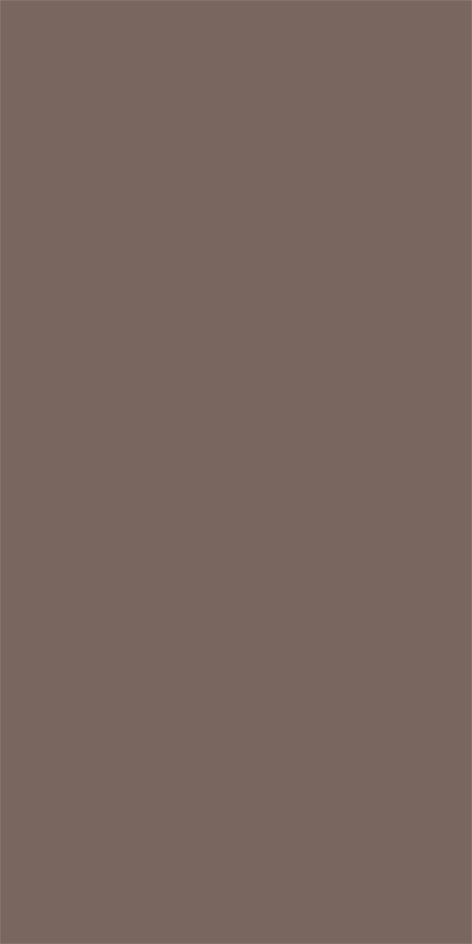 L8428 Silky Matte Cocoa