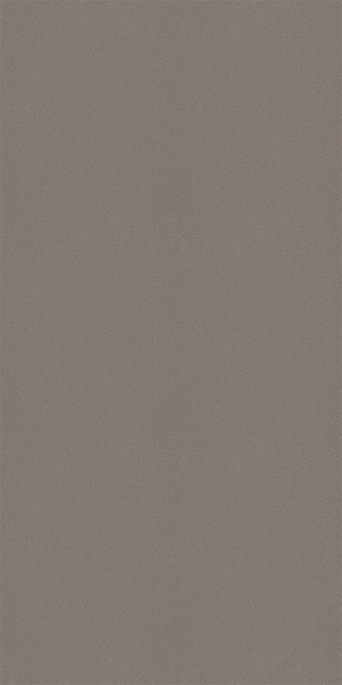 L8521 Silky Matte Satin Silver