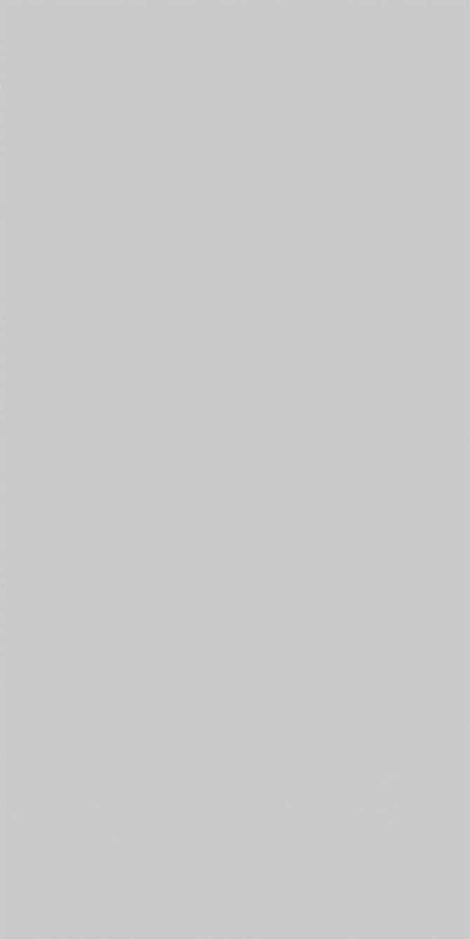 L8543 Eggshell Platinum Grey