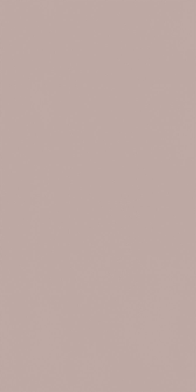 L8545 Eggshell Beige Silver