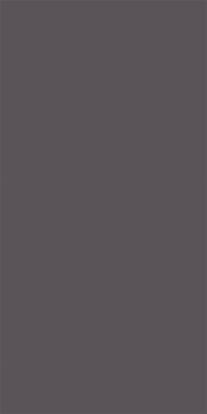 L8569 Sandblasted Shimmering Dim Silver