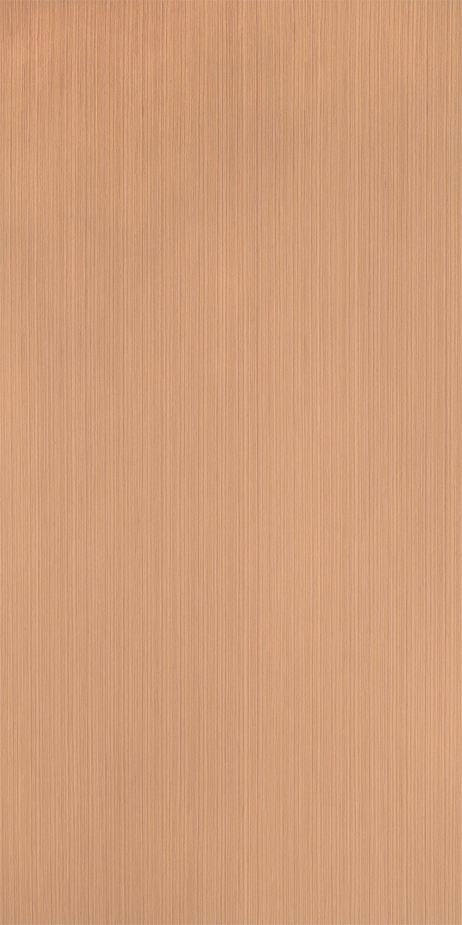 K6333 Poplar