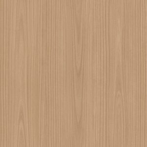 L269A Paulownia - C.C.