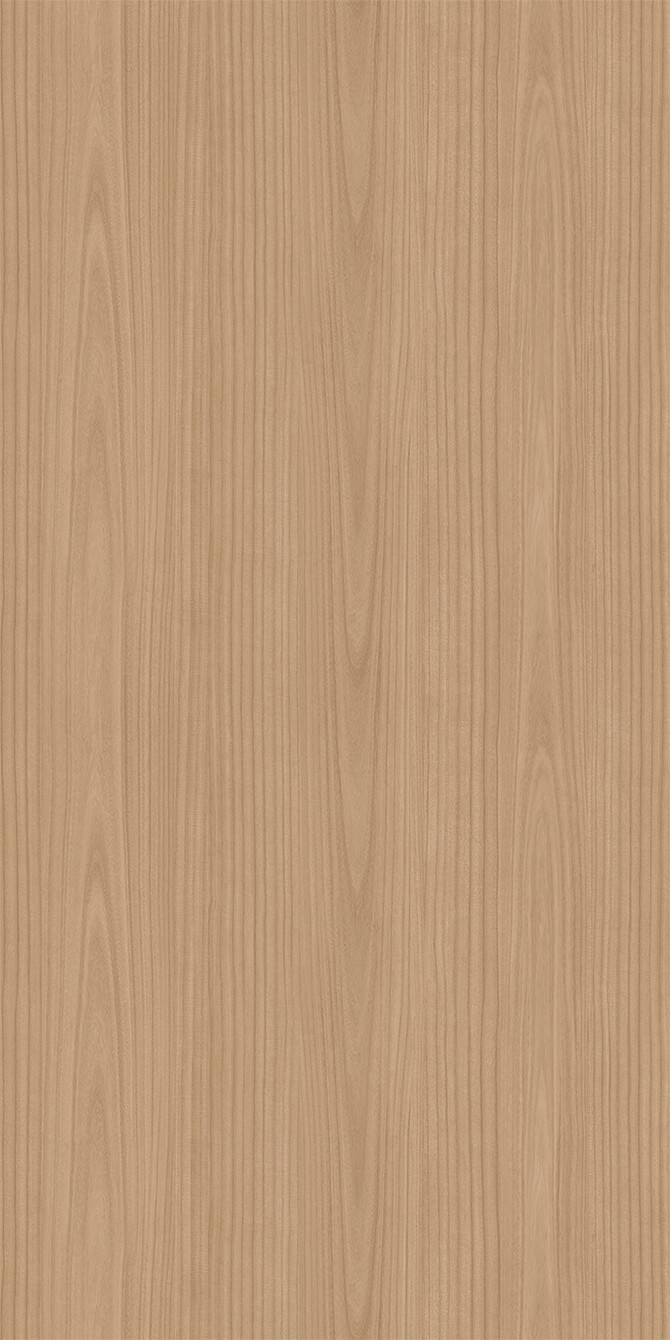 L269A Paulownia - C.C.