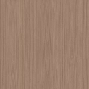 L269B Paulownia - C.C.