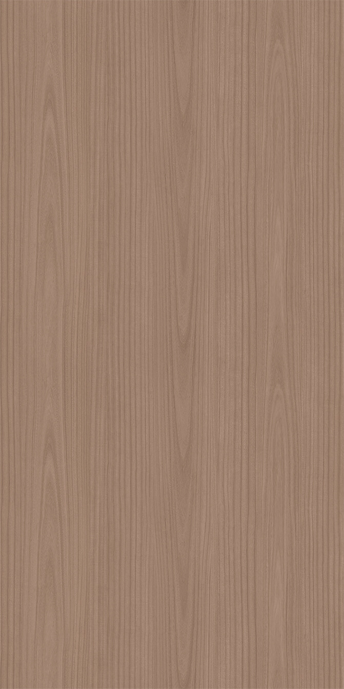 L269B Paulownia - C.C.