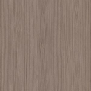 L269G Paulownia - C.C.
