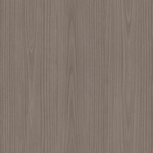L269N Paulownia - C.C.