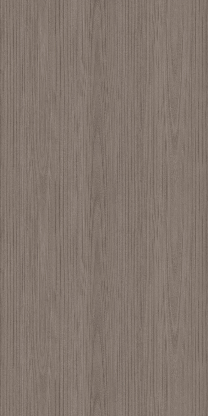 L269N Paulownia - C.C.