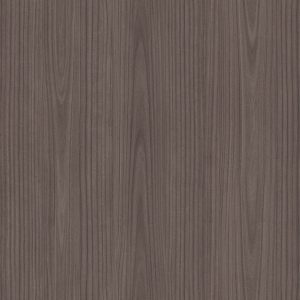 L269P Paulownia - C.C.