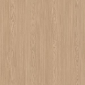 L276A Elm - C.C.
