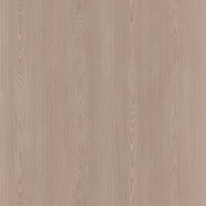 L279D Red Elm - C.C.