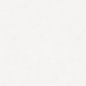 L7202 Kraft Paper Polar White