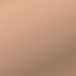 L7381 Polished Bronze