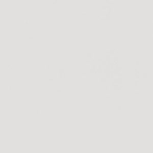 L8111 Eggshell White Gray