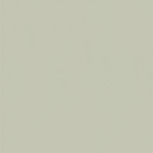 L8131 Eggshell Light Green