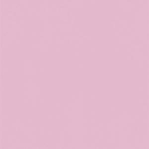 L8151 Eggshell Petal Pink