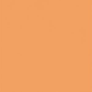 L8161 Eggshell Honey Orange