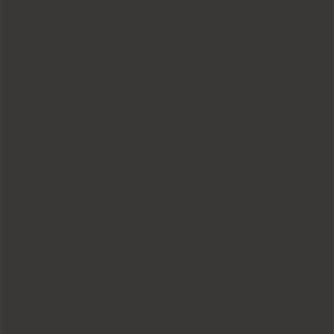 L8309 Silky Matte Jet Black
