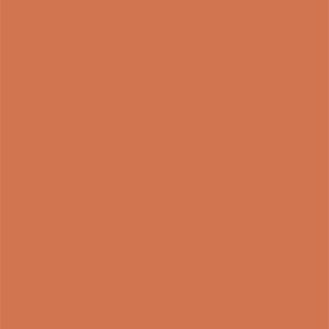 L8362 Silky Matte Light Orange