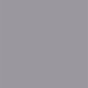 L8417 Silky Matte Silver Gray