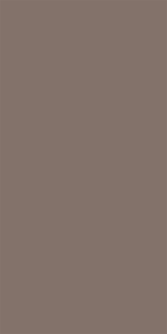 L8427 Silky Matte Ash Brown