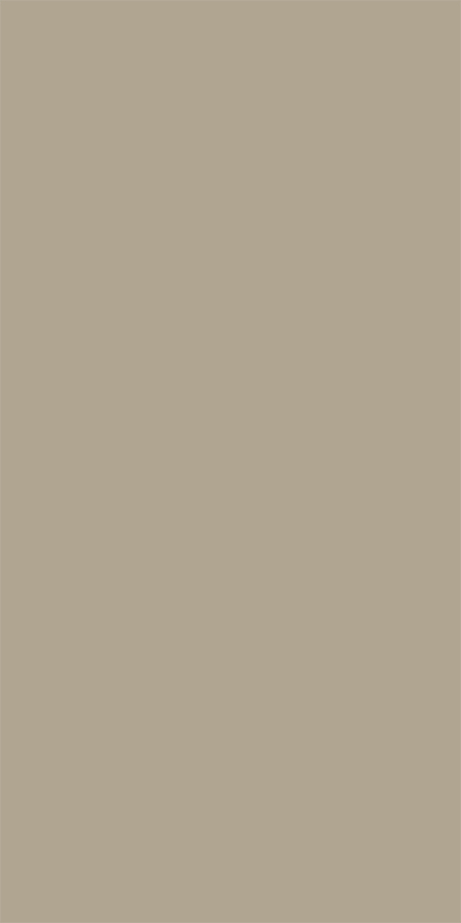 L8517 Silky Matte Champaigne