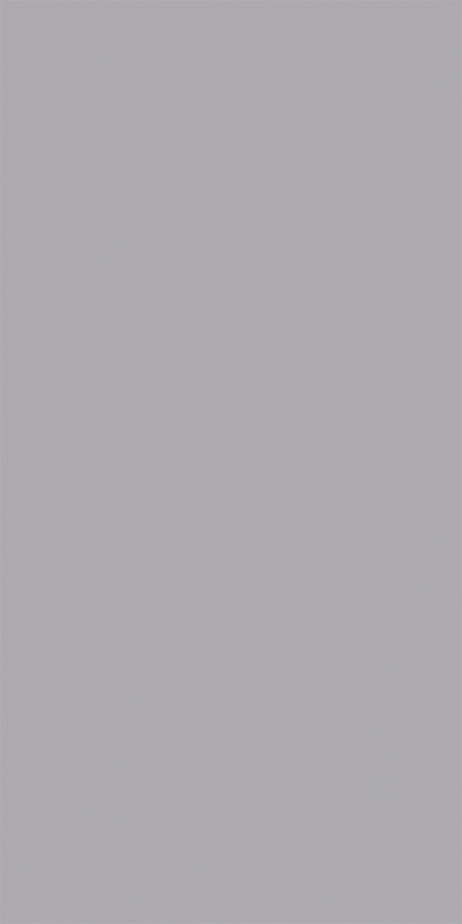 L8544 Eggshell Titanium Gray