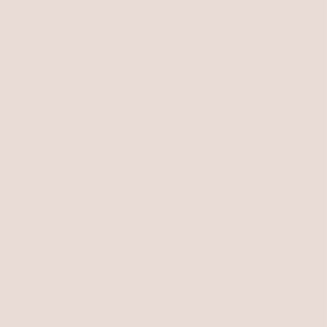 L8562 Sandblasted Shimmering Platinum Beige