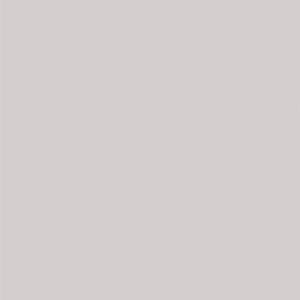 L8563 Sandblasted Shimmering Platinum Grey