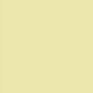 L8334 Silky Matte Lime