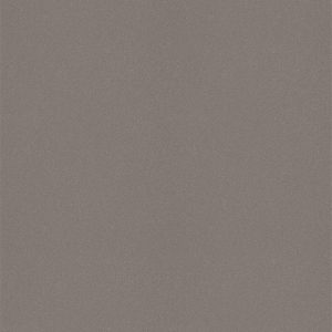 L8521 Silky Matte Satin Silver