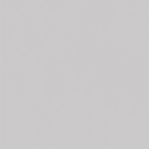 L8543 Eggshell Platinum Grey