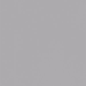 L8544 Eggshell Titanium Gray