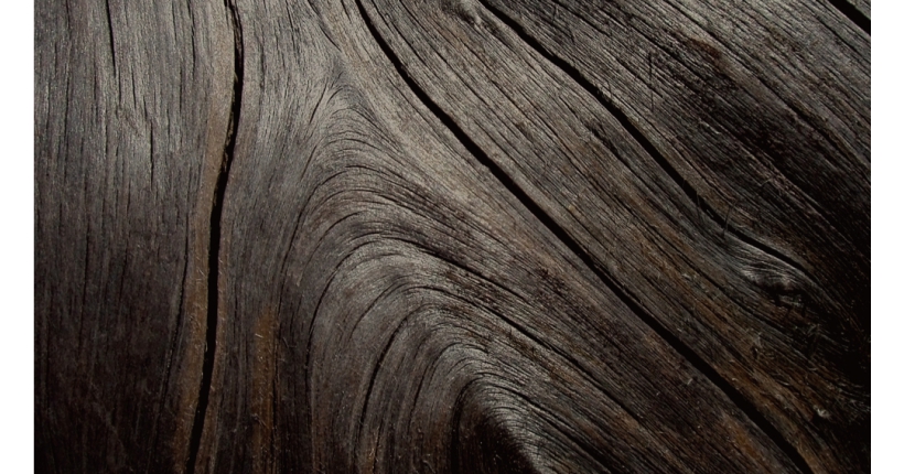 Beauty of Wood